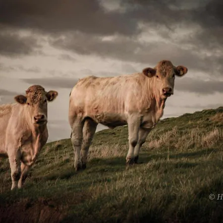 Gjeterhytta * Stavanger