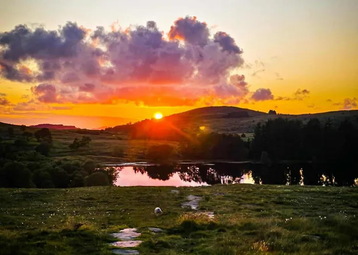 Gjeterhytta Camping *