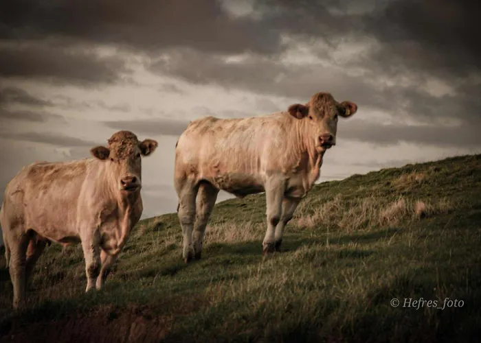 Gjeterhytta * Stavanger